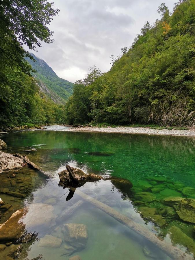 Ethno Cottage Momo Tepca Žabljak Exteriér fotografie