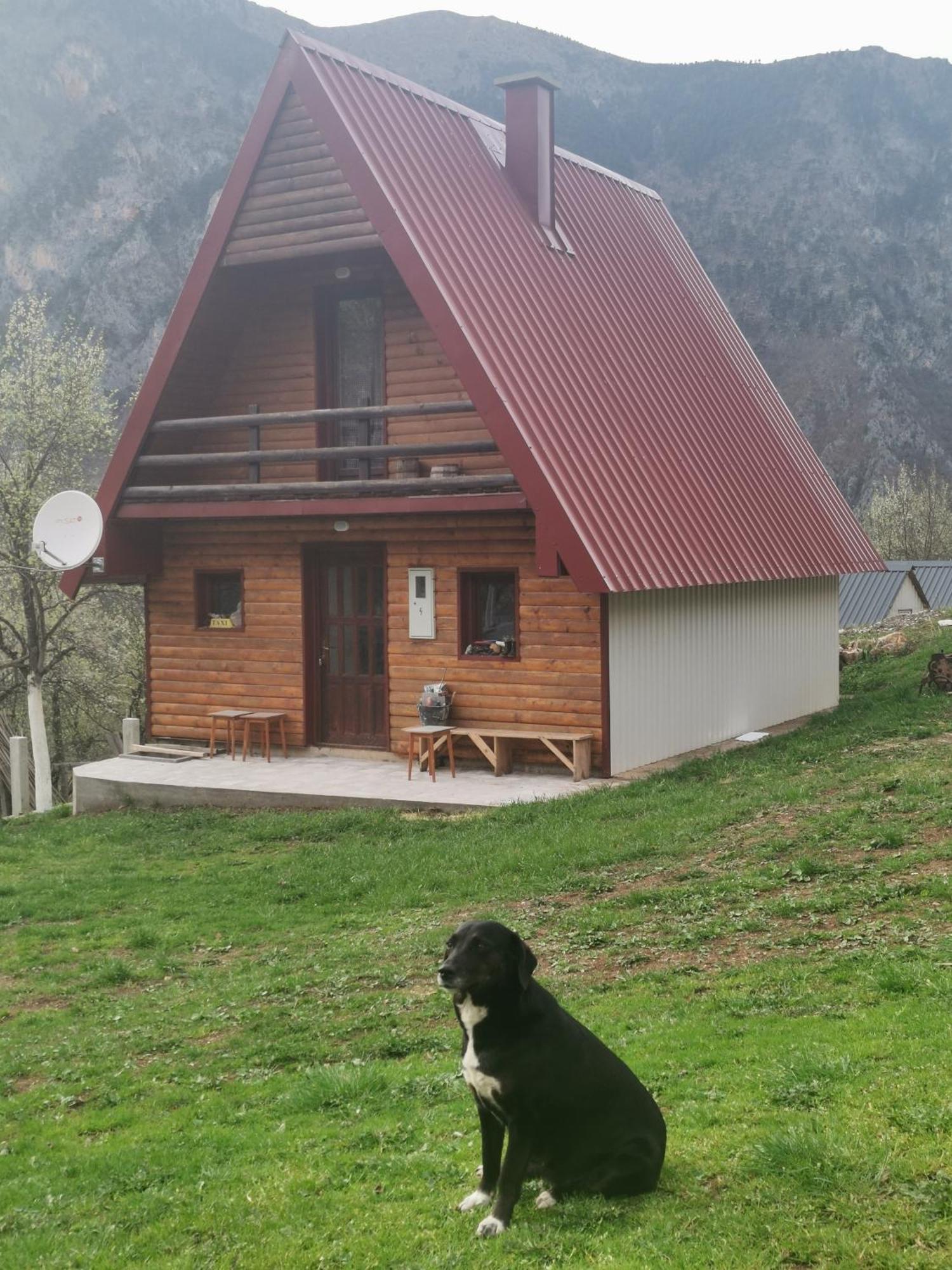 Ethno Cottage Momo Tepca Žabljak Pokoj fotografie