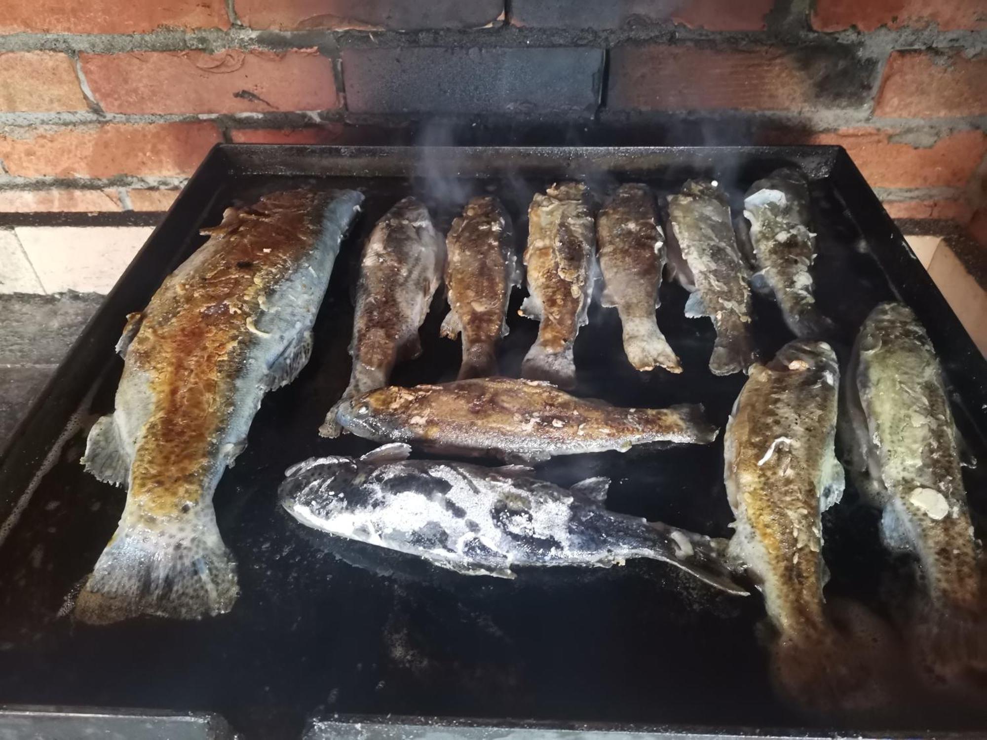 Ethno Cottage Momo Tepca Žabljak Pokoj fotografie