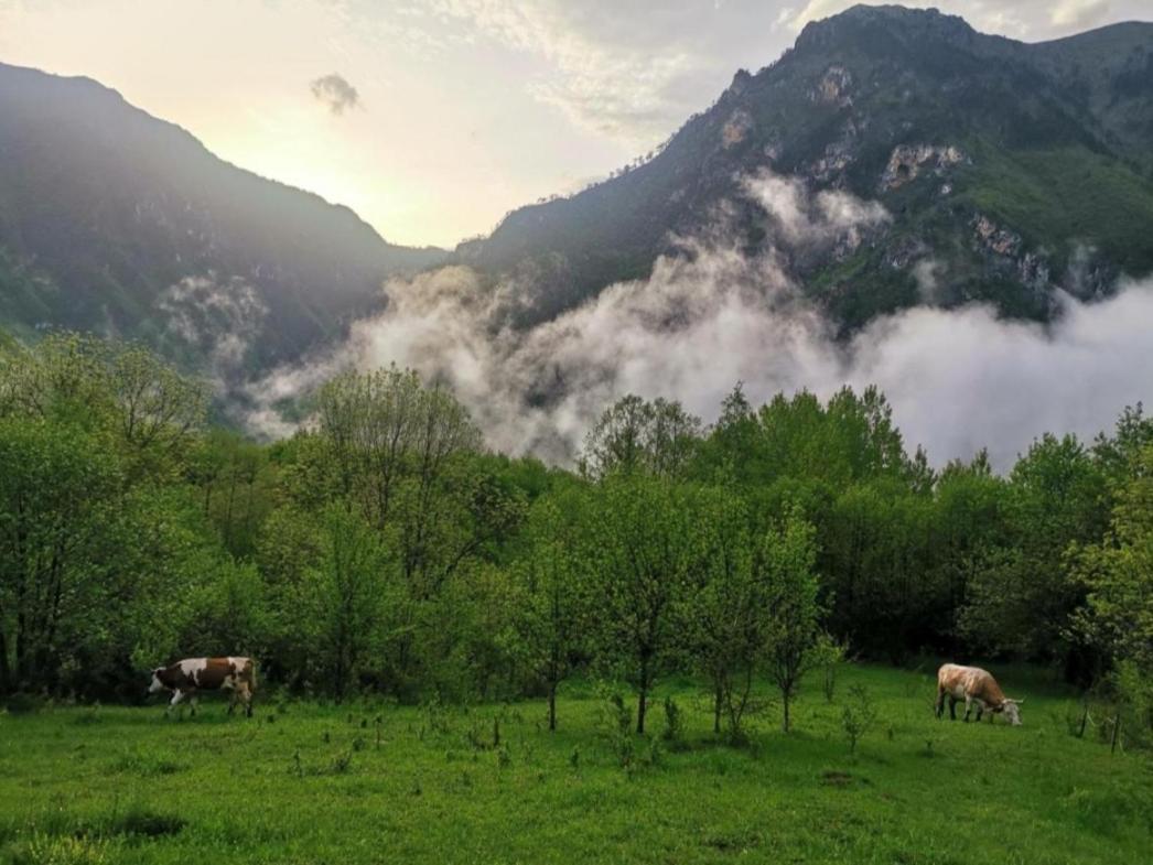 Ethno Cottage Momo Tepca Žabljak Exteriér fotografie